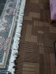 نظم-دهنده-ریشه-فرش